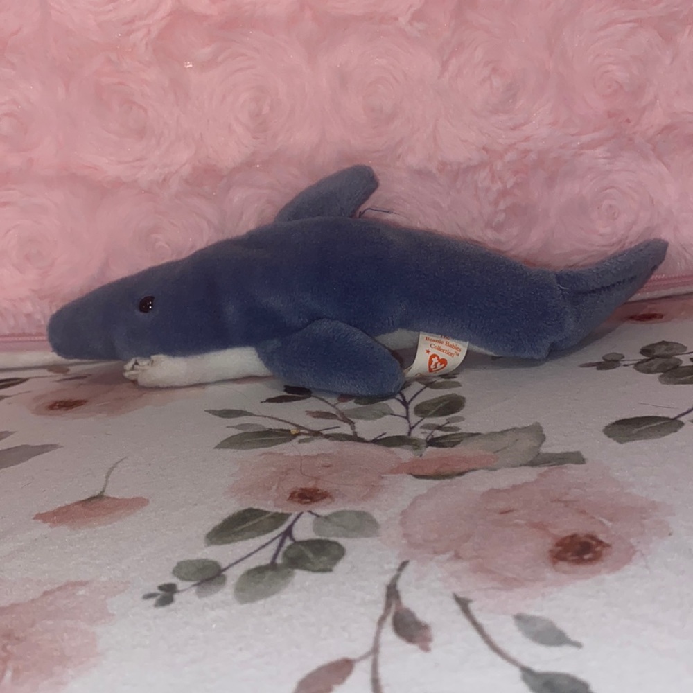 Shark